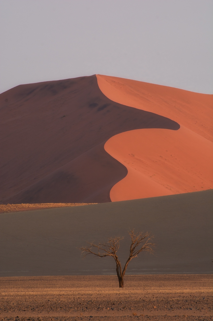 Land of The Morning Star