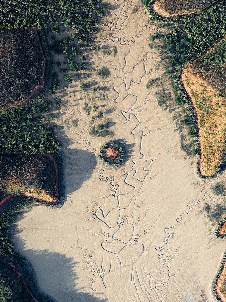 Traces of Water