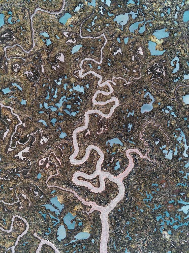 Traces of Water