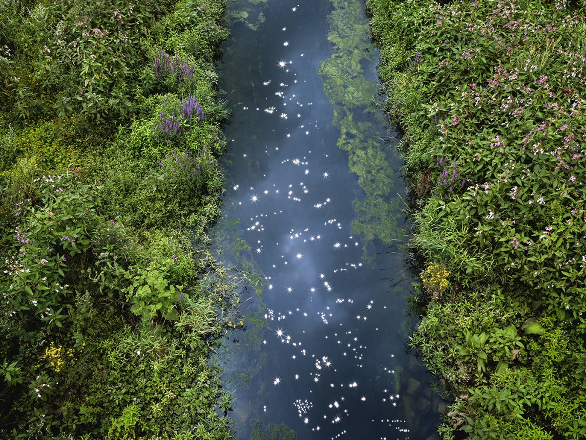 Chalk Streams 2023