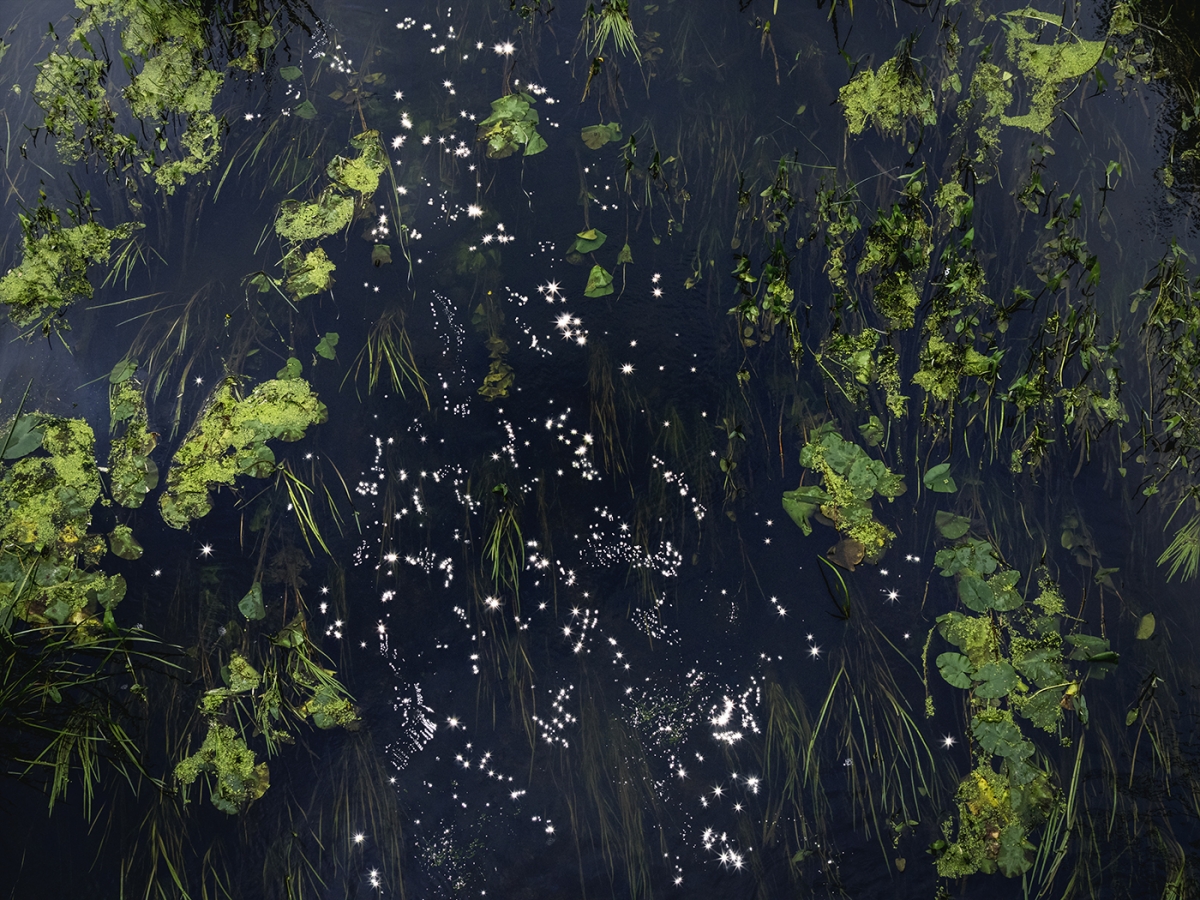 Chalk Streams 2023