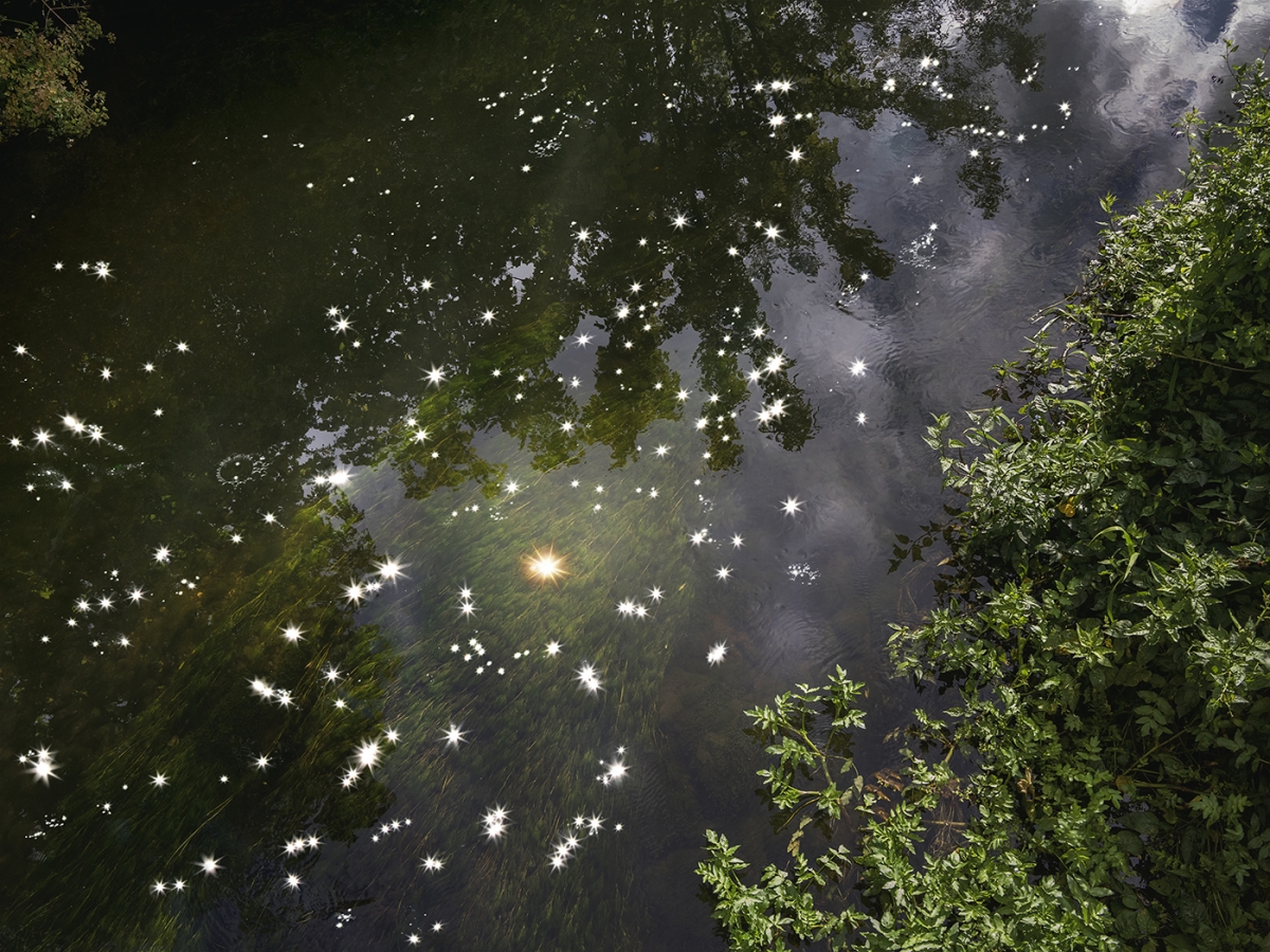 Chalk Streams 2023