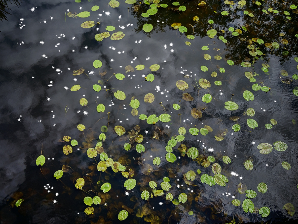 Chalk Streams 2023
