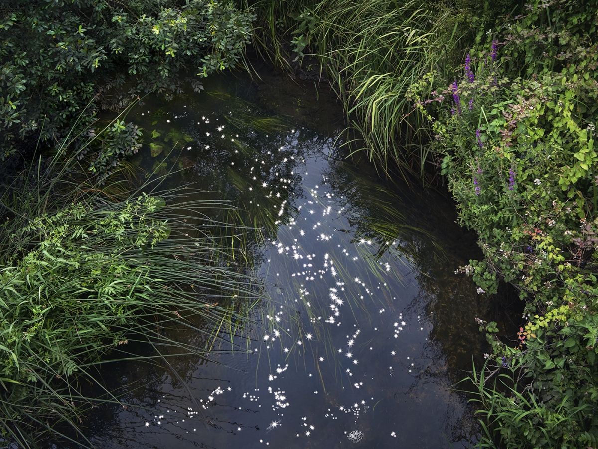 Chalk Streams 2023