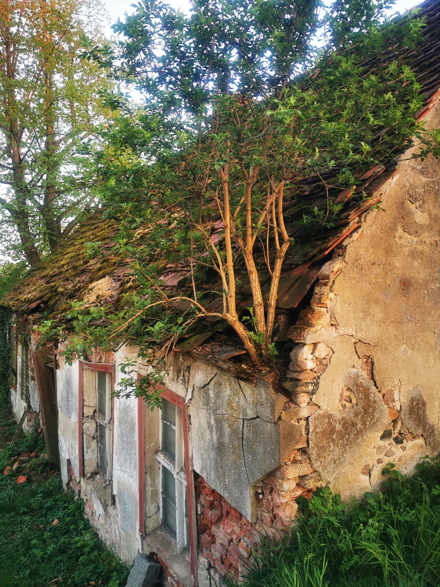 ~ endless timelessness ~