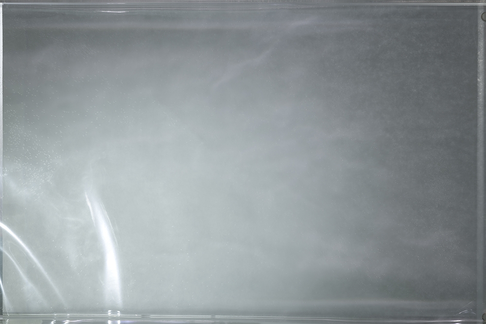 Morning take wing, evening unfold