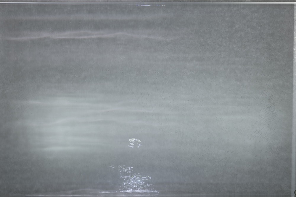 Morning take wing, evening unfold