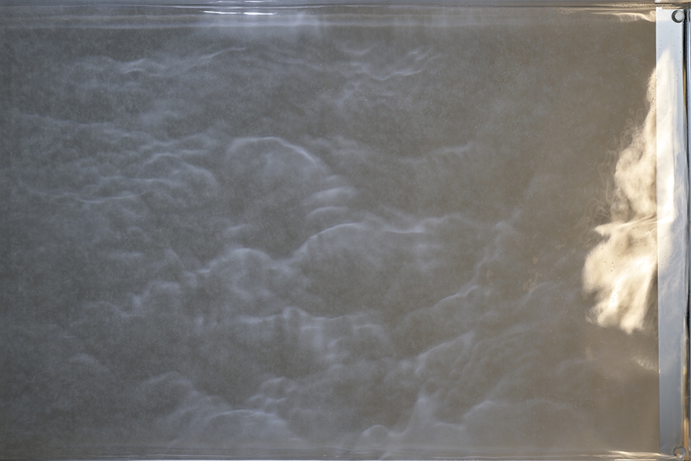 Morning take wing, evening unfold