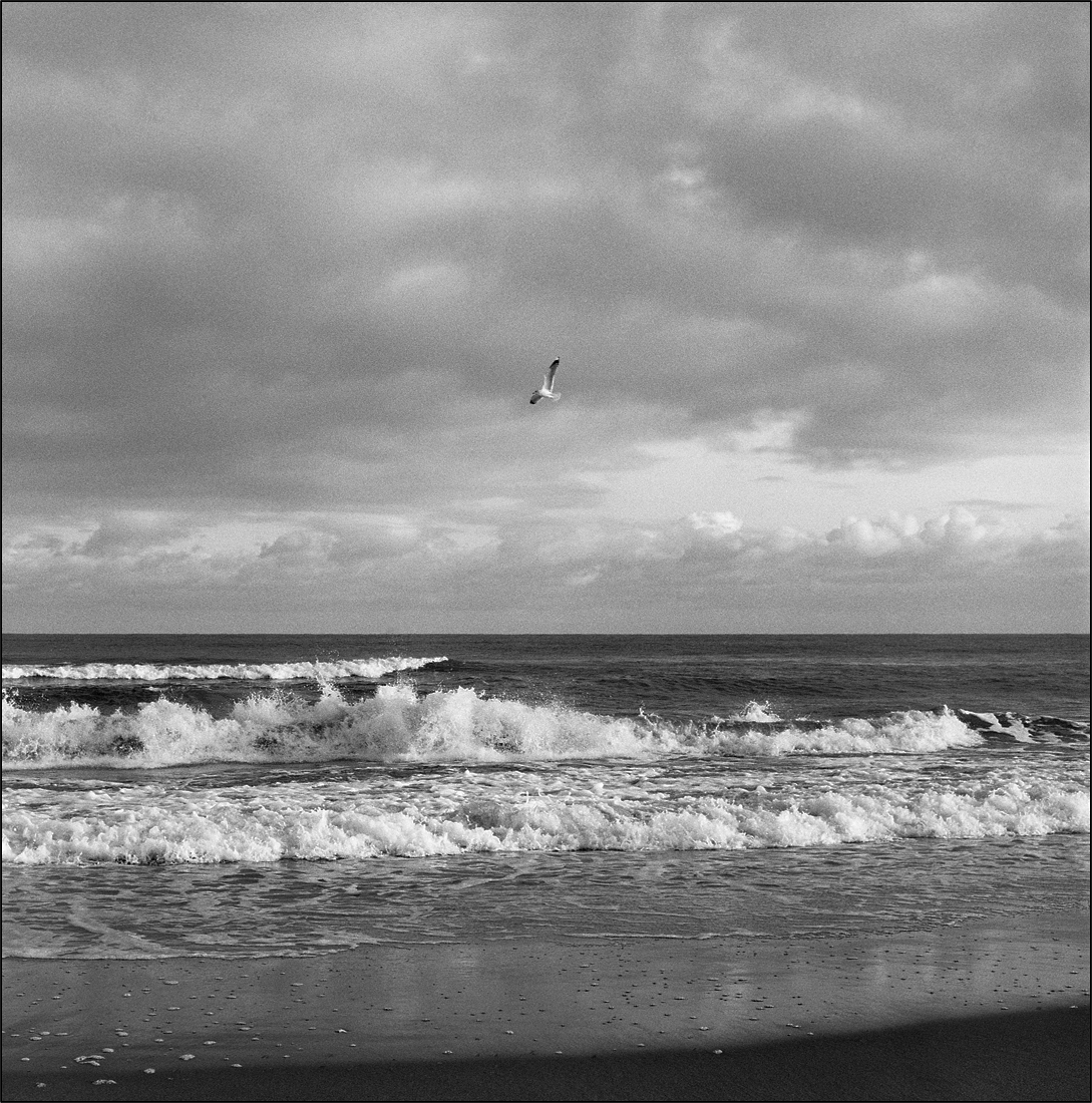 Balitc Sea