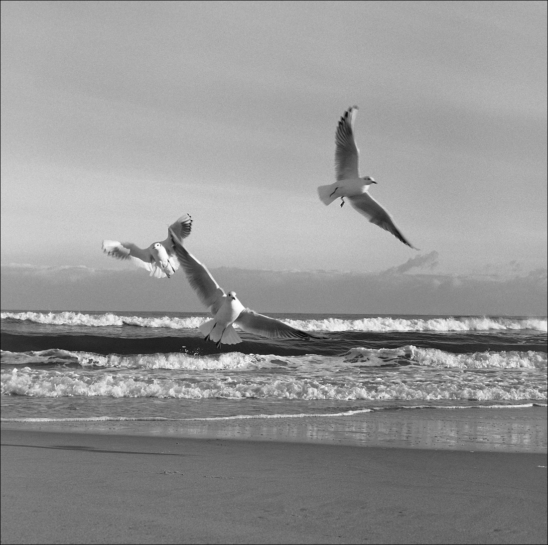 Balitc Sea