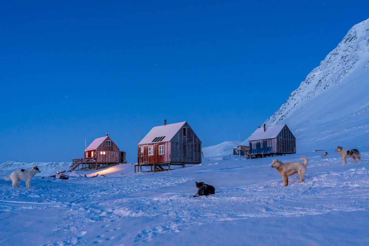 Life at the Edge of the World