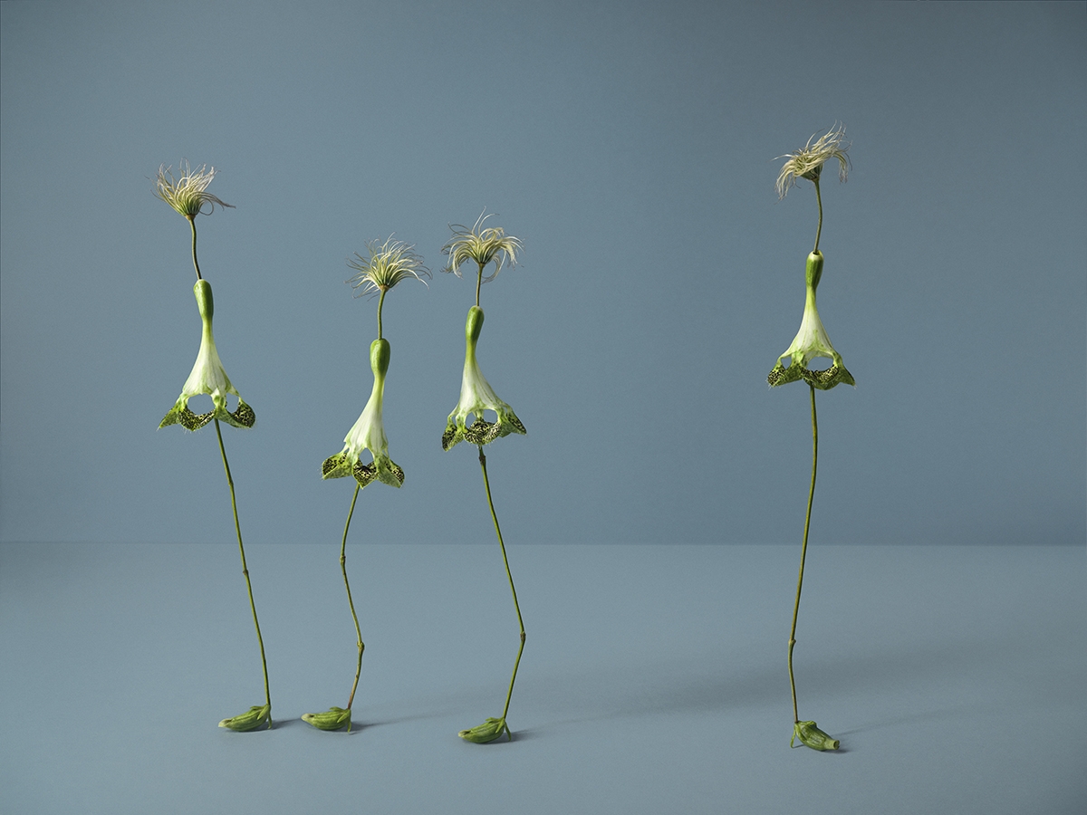 Annual Photography Awards winner NATALIE STROHMAIER