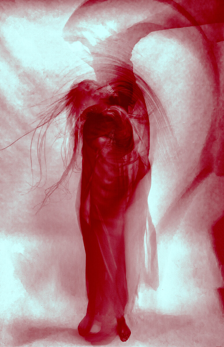 Silent Anatomy