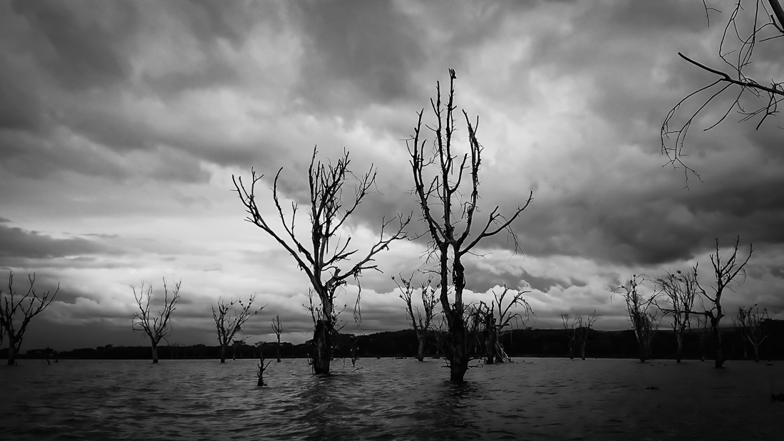 Lake Naivasha