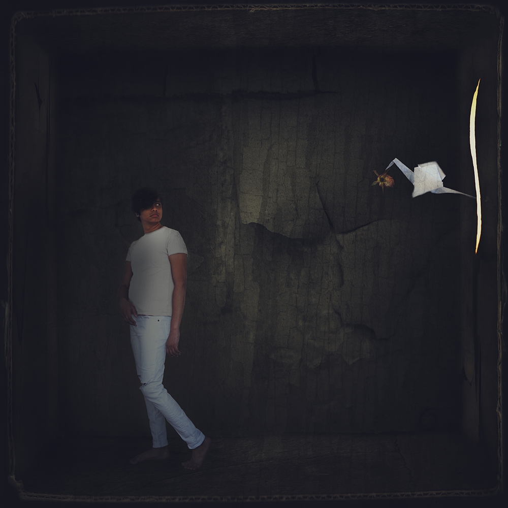 (untitled)