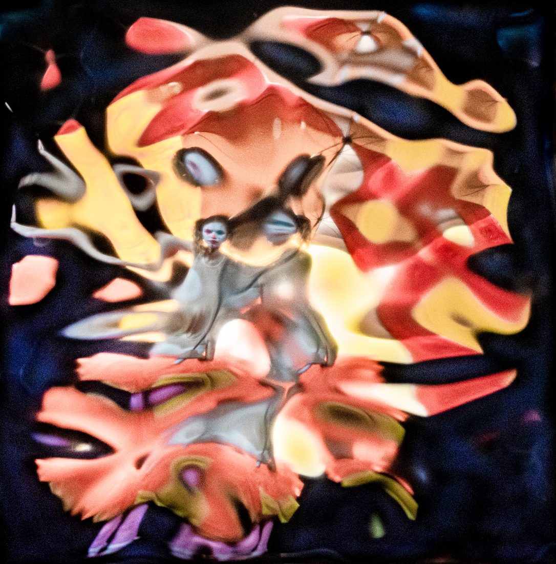 I dreamt that I went to the circus