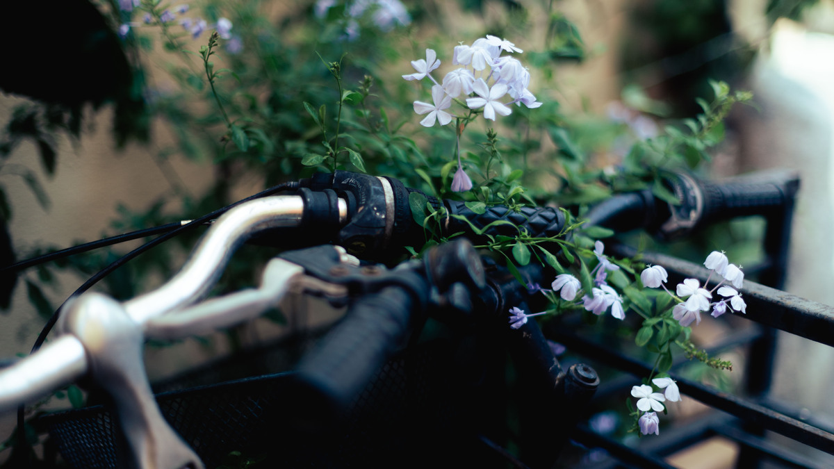 Unparticular beauty