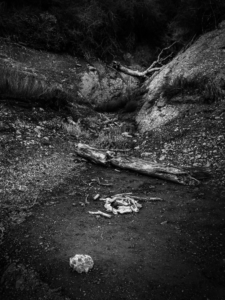 Stevens Creek Reservoir: Year 3