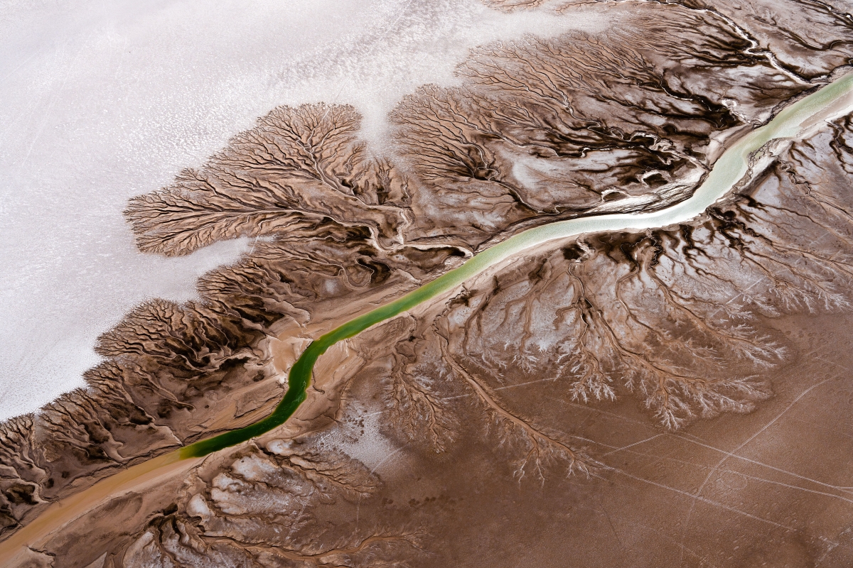Colorado River Delta 