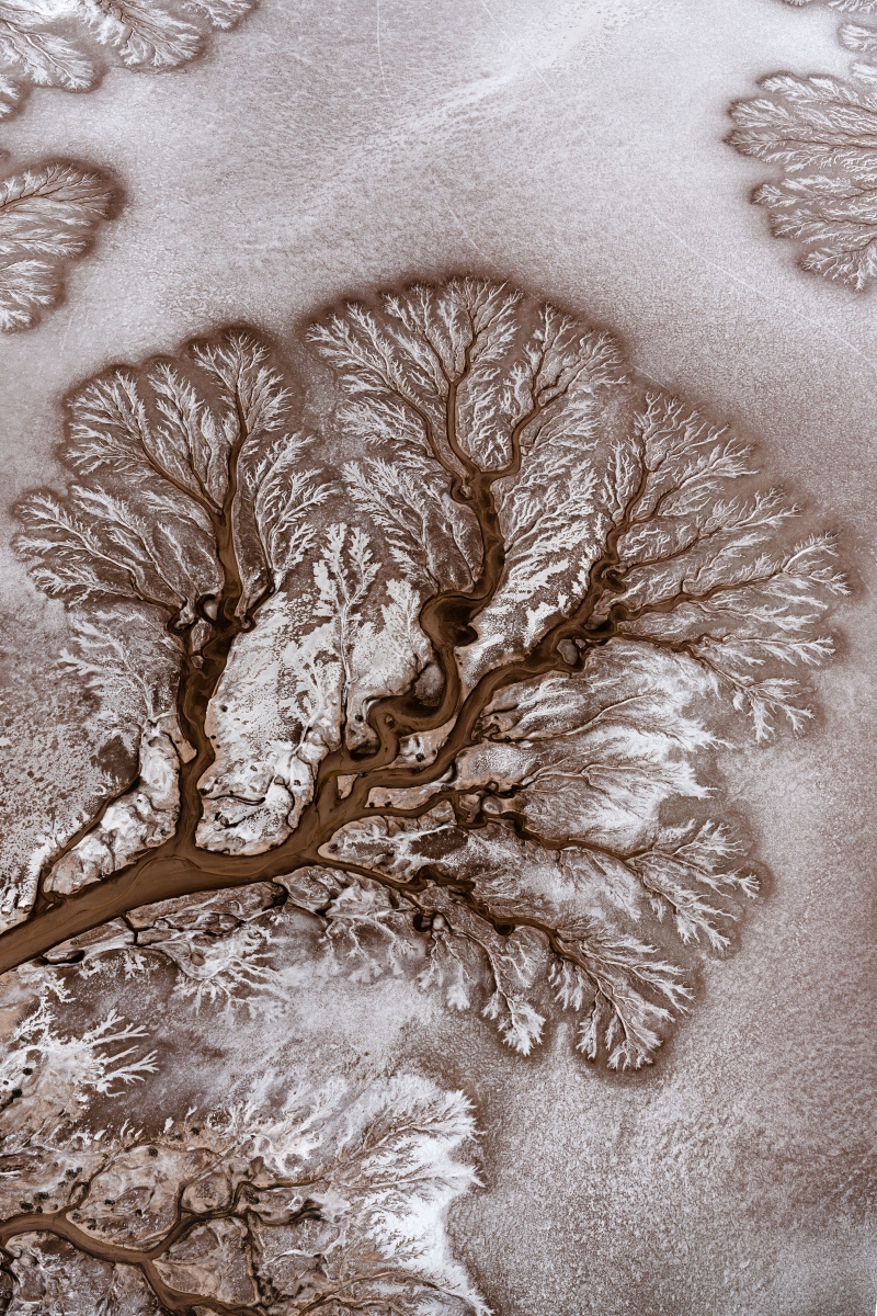 Colorado River Delta 