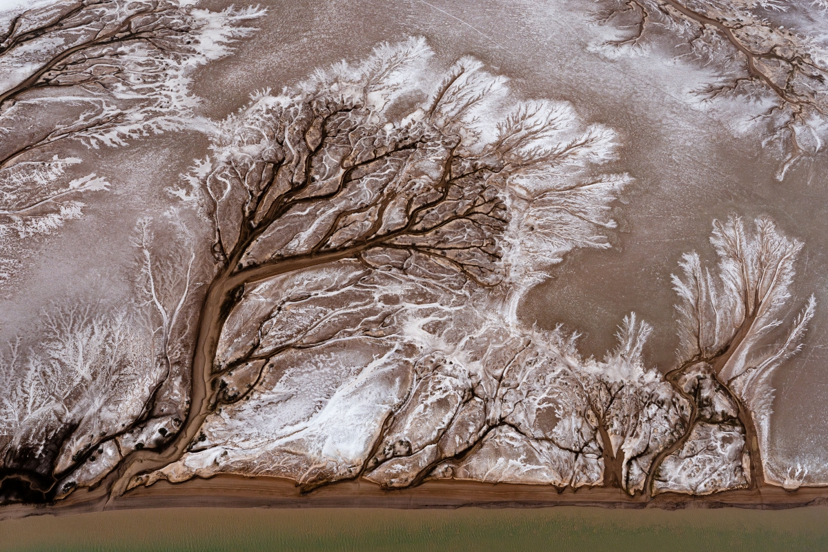 Colorado River Delta 