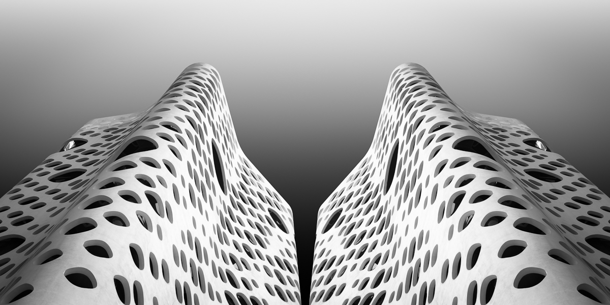 Duplicity
