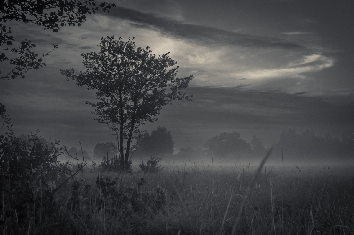 Dark fog