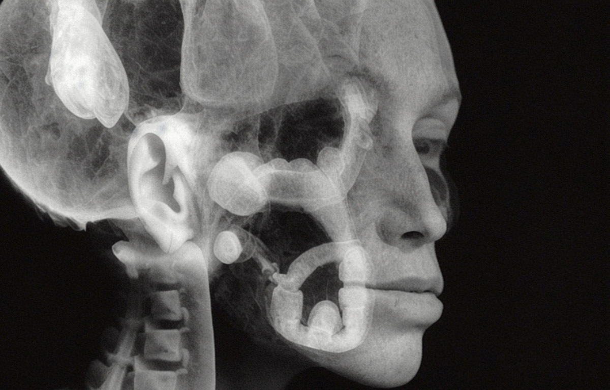 Eco-Morphosis: The Evolution of Language and Body