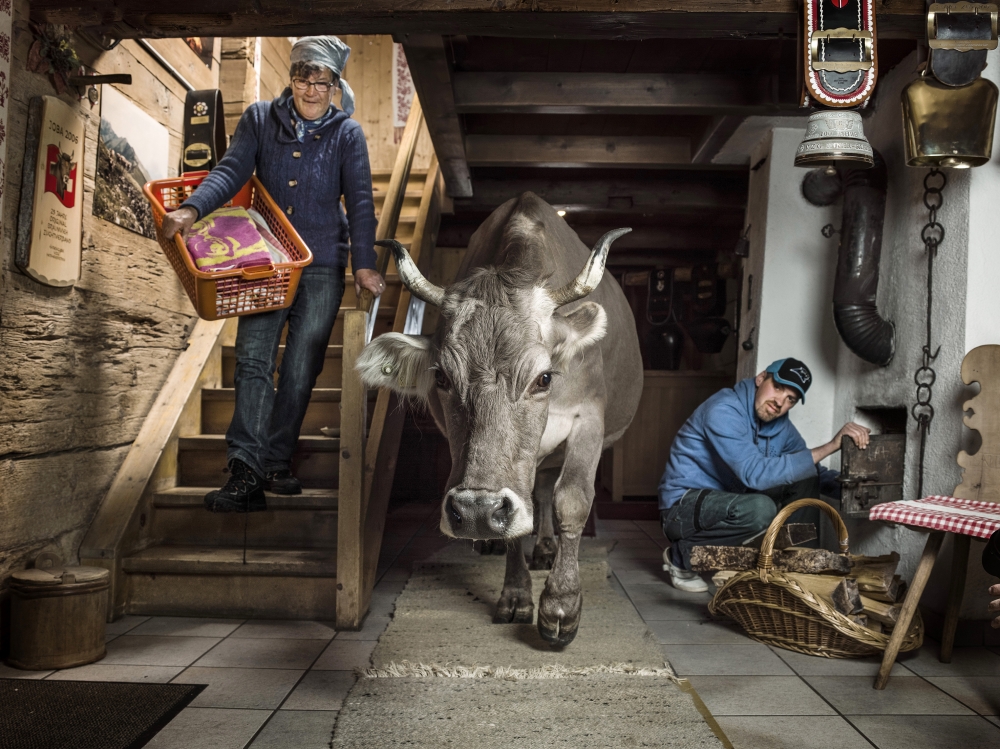 Humans and farm animals