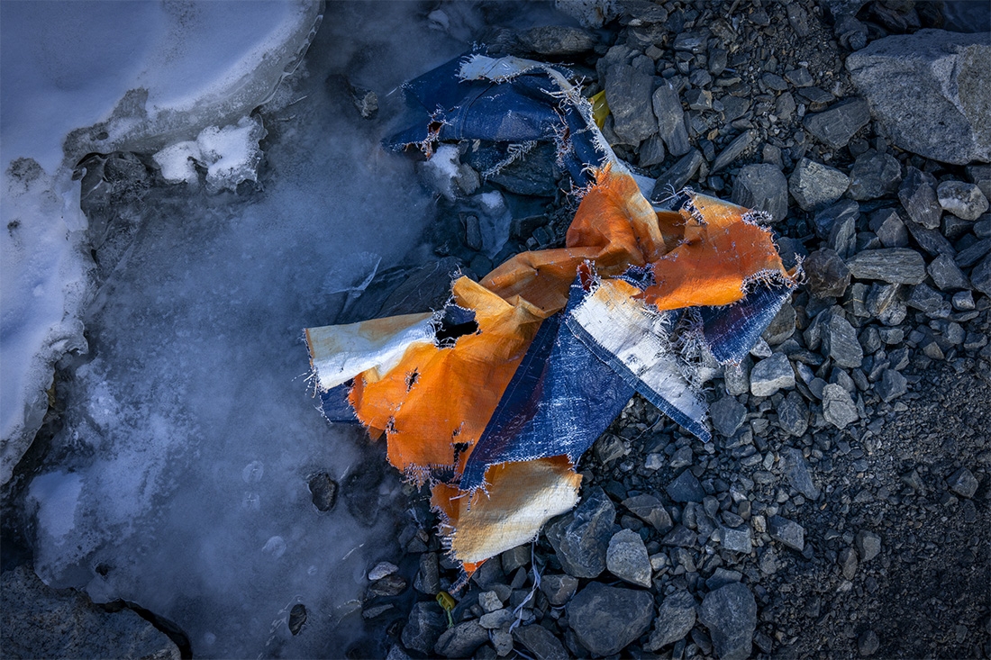 We Kill The Things We Love