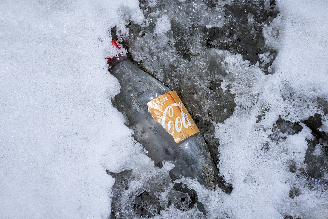 We Kill The Things We Love