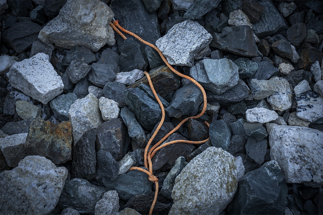 We Kill The Things We Love