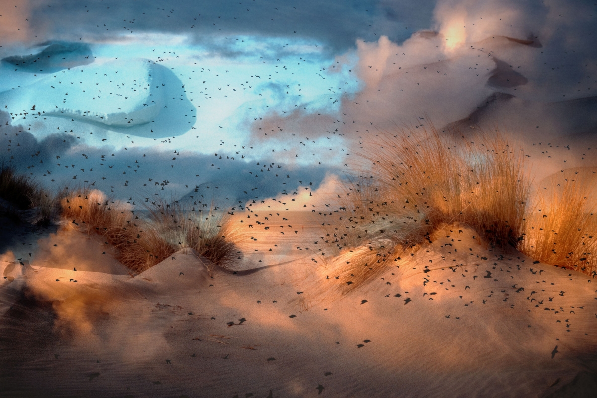 Tide - Land