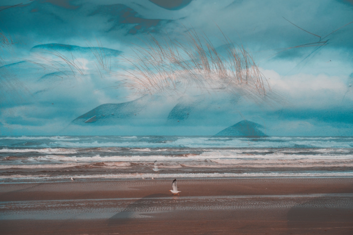 Tide - Land