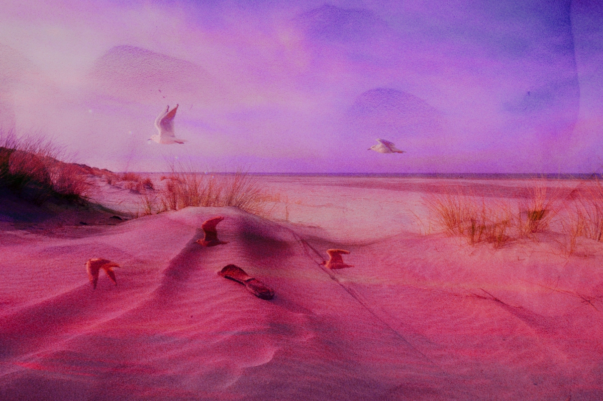 Tide - Land