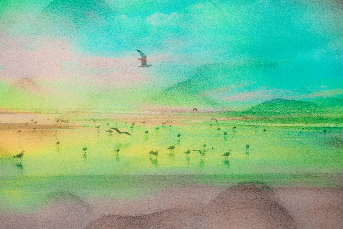 Tide - Land