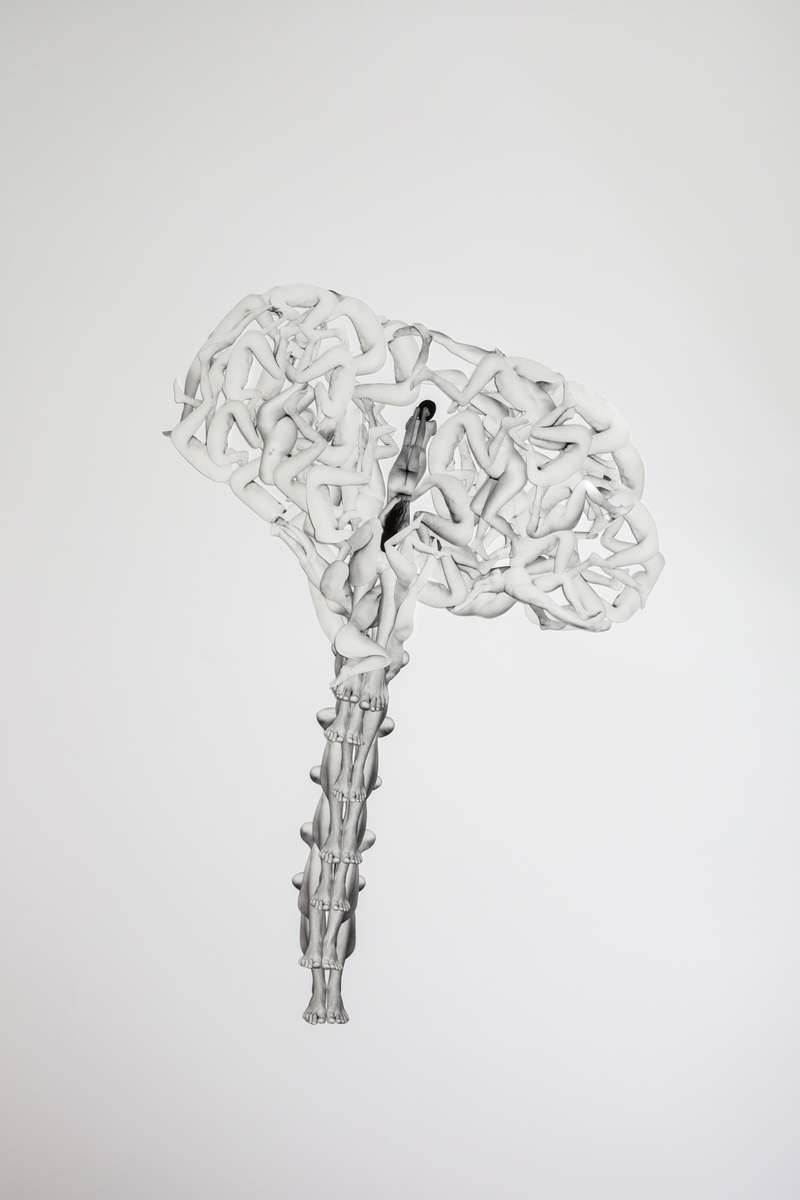Corpus Floret