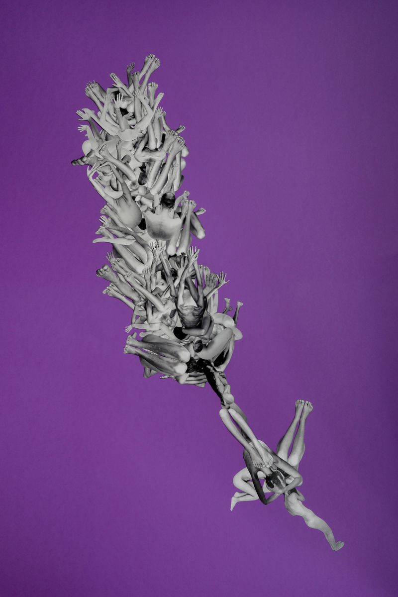Corpus Floret