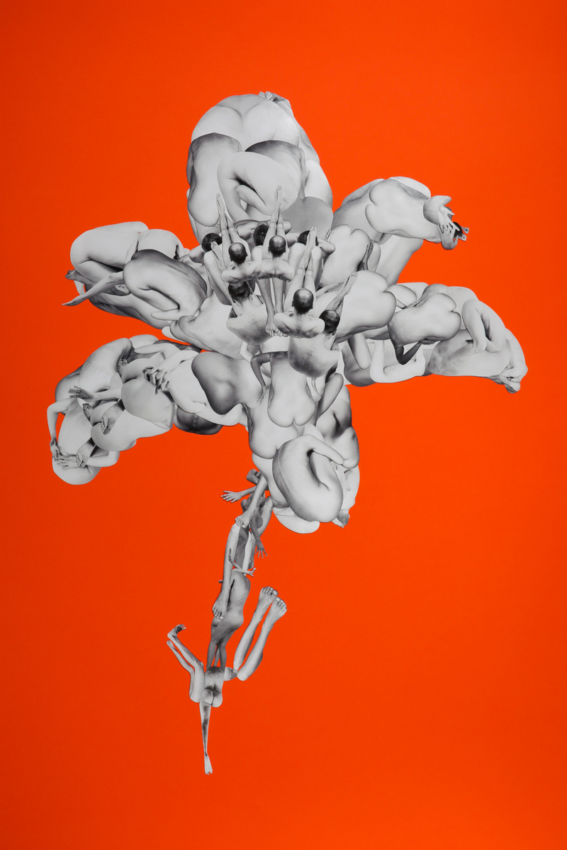 Annual Photography Awards winner SAMA SBRISSA