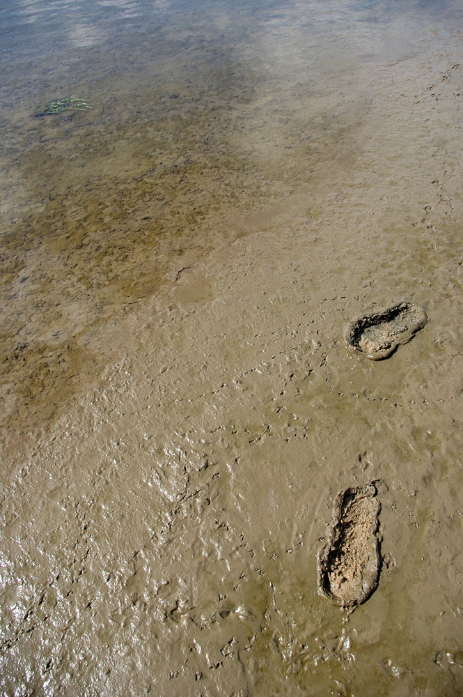 Some edges - Warsaw’s Vistula