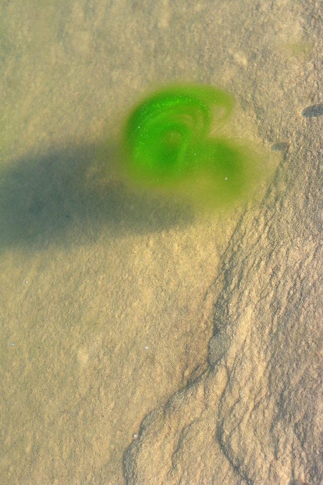 Some edges - Warsaw’s Vistula