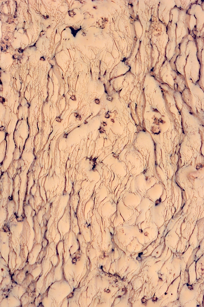 Some edges - Warsaw’s Vistula