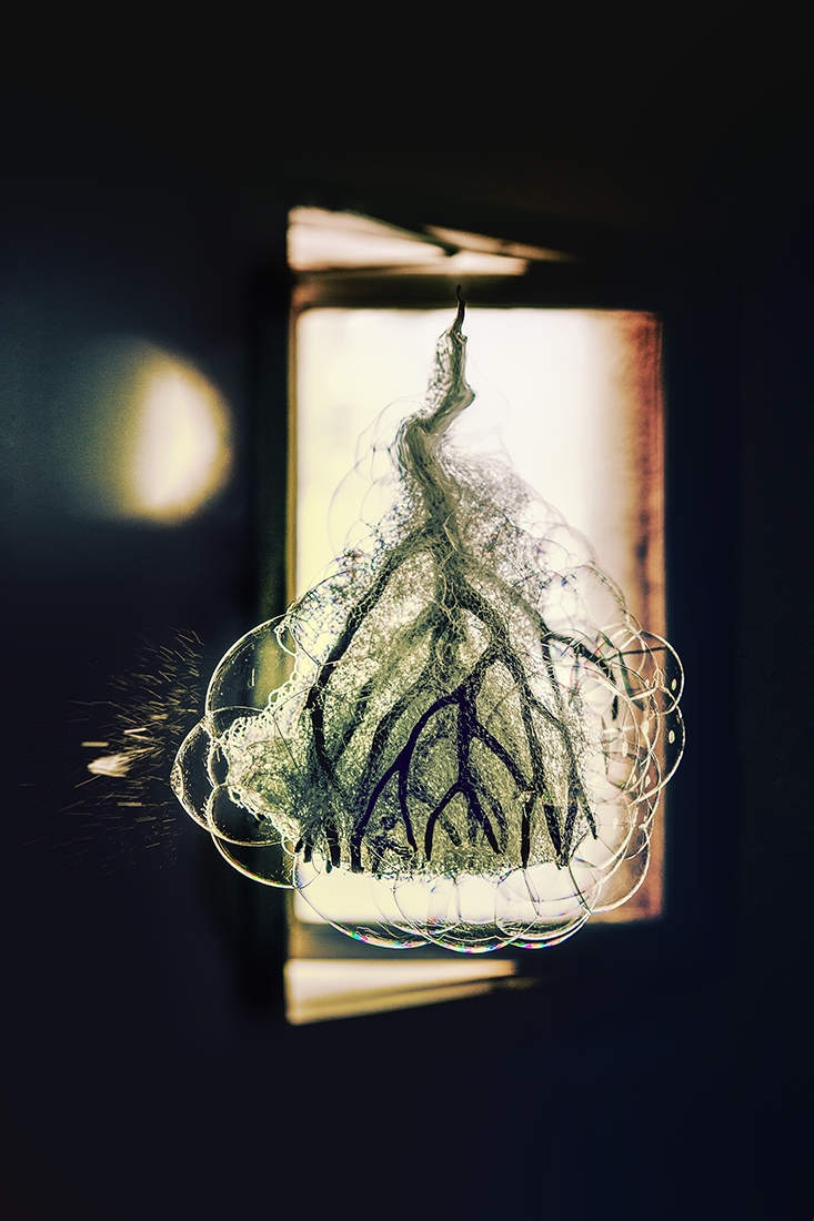 WHEN I WAS A MANGROVE TREE