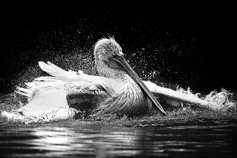 Cleanliness Is Next To Godliness