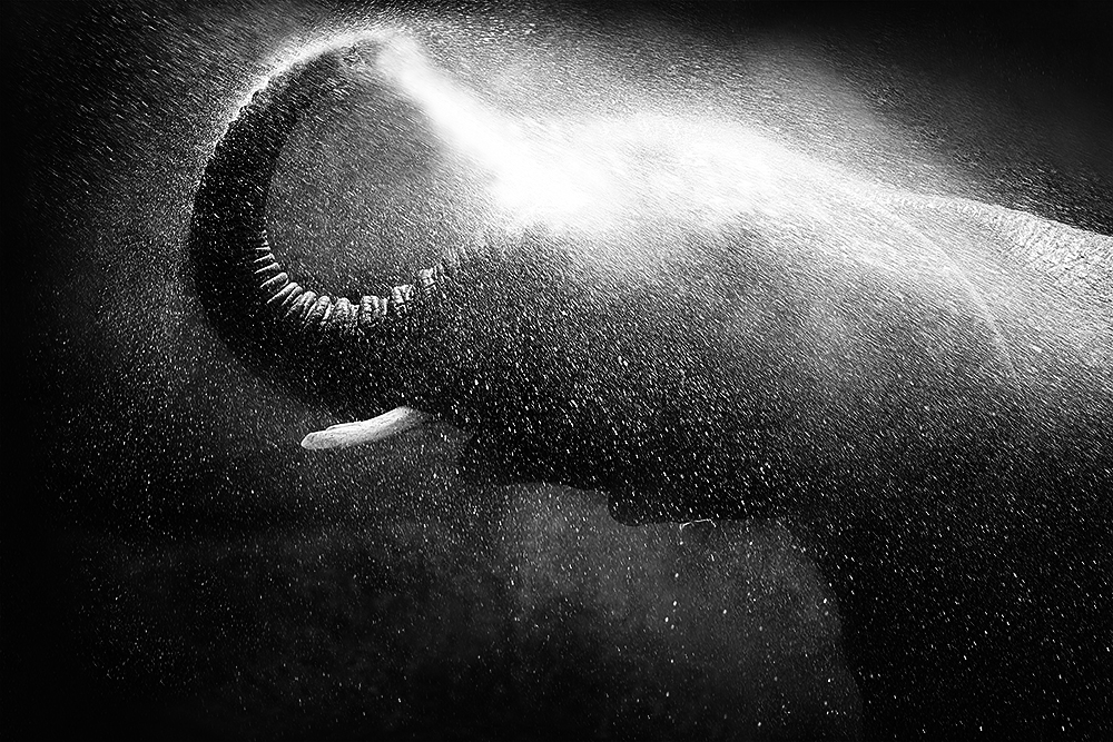 Cleanliness Is Next To Godliness