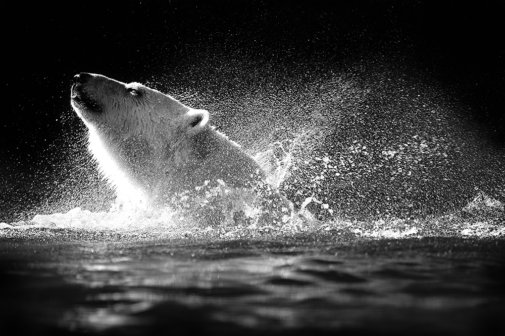 Cleanliness Is Next To Godliness