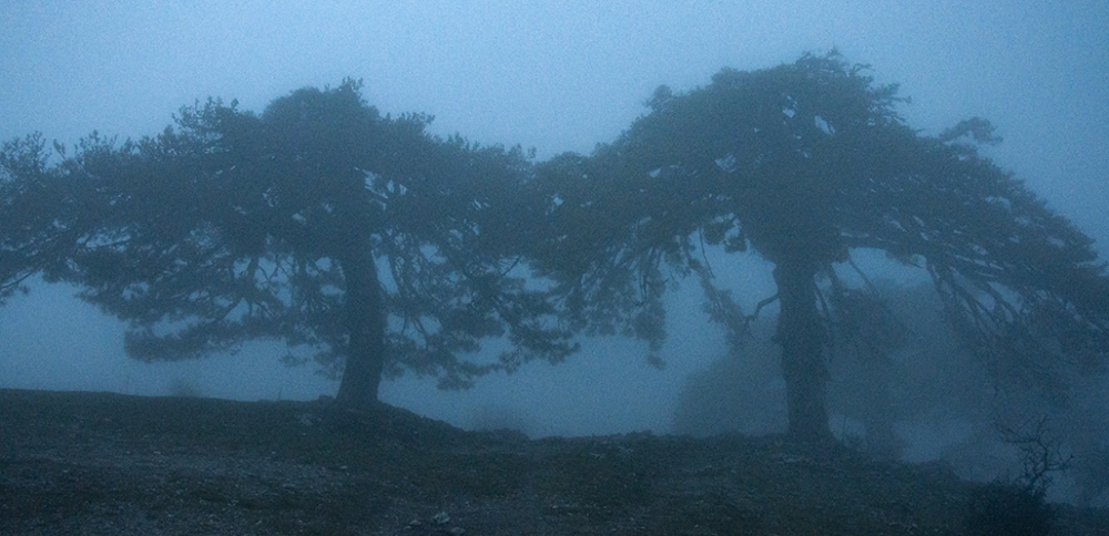 MET-ESTHISIS (The dream is over)