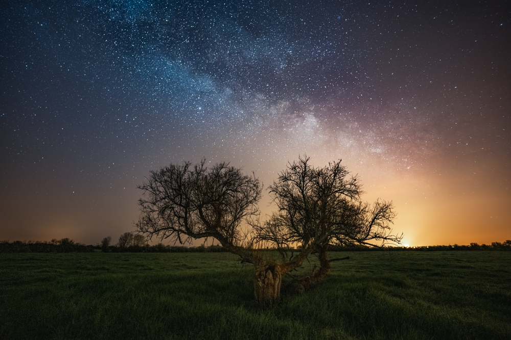 Along with the stars