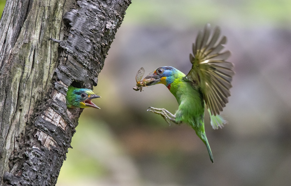 Feeding time