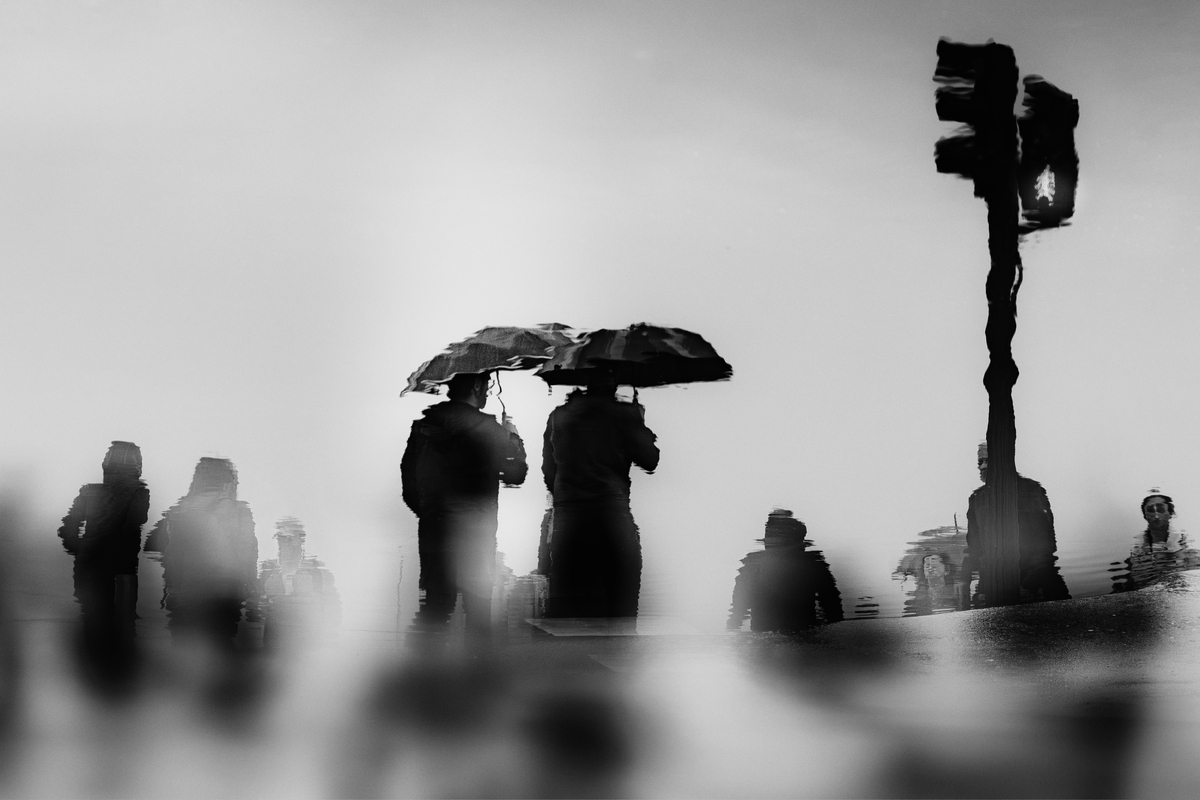 All The Fading Words